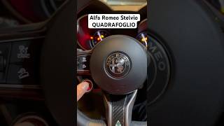 Alfa Romeo Stelvio QUADRIFOLGIO Interior Cold Start + Rev