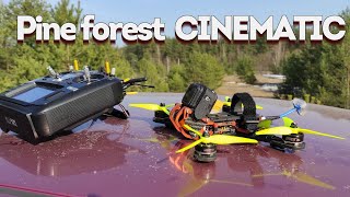 CINEMATIC FLIGHT ||| FPV ||| PINE FOREST #1