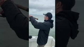 Fishing Galveston for monster Red Drum Fish! Captain Zach put us on em!