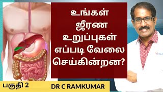 உங்கள் ஜீரண மண்டலம் எப்படி வேலை செய்கிறது?GIT-Part 2/How the human digestive system works?/In Tamil