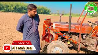 Gundam ki kasht | How to grow wheat  #videoviral #bamboofarmin #bamboofariminginindia #bambooplation