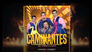 dj William los caminantes porque sera cumbias xtended✅️🎶💥👇