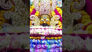 Har Gyaras Pe Tere Darshan Pata Hu #shorts #shyambaba #harekrishna #harekasahara