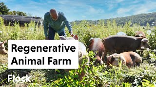 Running a REGENERATIVE Cow, Hog and Chicken FARM — Ep. 198