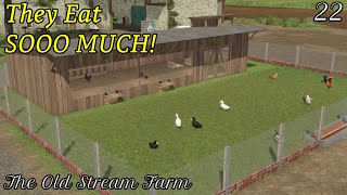 Ducks And Chicken Eat SOO MUCH! - The Old Stream Farm Ep 22 - Farming Simulator 22