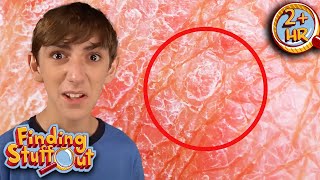 Did You Know This About The Human Skin?!  | Full Episodes | Finding Stuff Out | 9 Story Fun