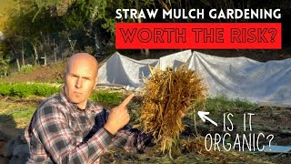 Want to Straw Mulch Garden? | WATCH THIS FIRST