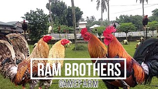 Lets Visit The Farm Of RAM Brothers Gamefarm