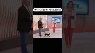 I will be the next superstar. #funnyvideo #usacats #catfunny #funny #catnews #catsworld #foryou