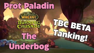 TBC Beta - Prot Paladin Tanking - The Underbog!