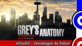 Tetralogia de Fallot | PROJETO GREY'S ANATOMY (s01e02)