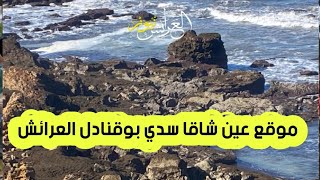 الطحالب البنية تغزو شواطئ العرائش.. فما العمل؟؟