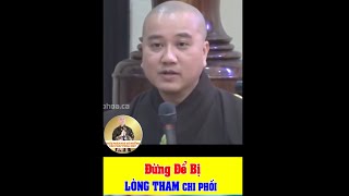 Đừng Để Lòng Tham Chi Phối- Thầy Thích Pháp Hoà Ngày 1-04-2024.