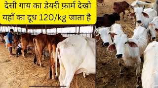 दूध का रेट 120/kg नीर आर्या ने बनाया देसी गाय का डेयरी फ़ार्म गुड़गाँव और दिल्ली में बिकता है दूध