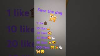 save the dog🐩🐕🐕‍🦺🐾