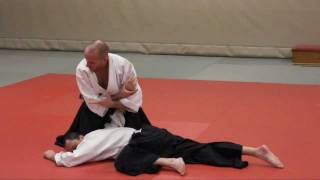 Aikido:Stephane Goffin Oct 2011 Vienna