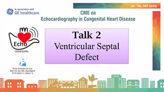 Talk 2 - Ventricular Septal Defect Size and Place Matter