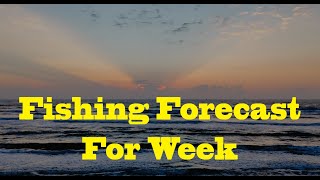 Breakaway Tackle Your Best Damn Surf Fishing Report 10-31-24  Please subscribe for updates.