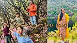 അയർലണ്ടിലെ  നീല കുറിഞ്ഞി തടാകം #secretwaytotheveelake #veepass #rhodendron #irelandattractions