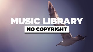 Tasev - Never Gonna Be  (Vlog No Copyright Music)