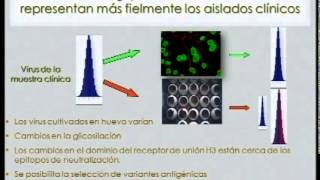 7º Congreso Nacional de la AEV. Nueva vacuna antigripal en cultivo celular