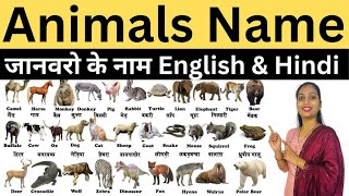 Janvaron Ke Naam English Aur Hindi | Animal Name In Hindi English | जानवरो के नाम हिन्दी और अंग्रेजी