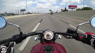 Rabid Hedgehog and the Indian Scout Family Sixty to Bobber