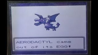 (FLoYT) Live! Shiny Aerodactyl after 68 eggs hatched (Pokemon Silver)