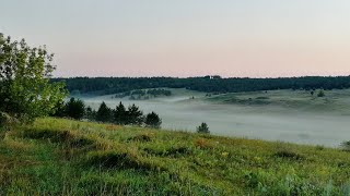 Кто рано встаёт, тот свой металл найдёт.