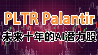 美股分析| PLTR Palantir：未来十年的AI潜力股！#SaaS#股票投资