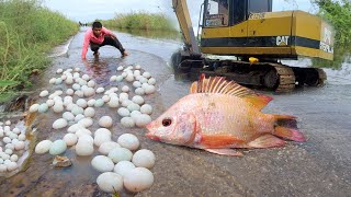 Top fishing video!  amazing catch a lot of fish,  Best hand fishing