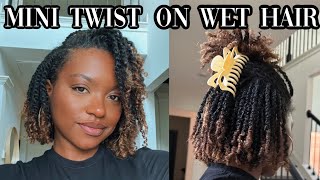 MINI TWISTS ON WET NATURAL HAIR...