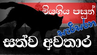 ලොව පුරා සැරිසරන සත්ව අවතාර - පලමු කොටස | Top Animal's Ghost stories - Part 01