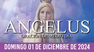 Ángelus de Hoy DOMINGO 01 DE DICIEMBRE DE 2024 ORACIÓN DE MEDIODÍA