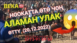 НООКАТ АЛАМАН УЛАК 💥 20.12.2022