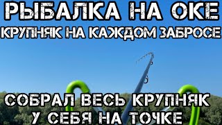 СОБРАЛ ВЕСЬ КРУПНЯК на ТОЧКЕ Рыбалка НА ОКЕ КРУПНЯК на КАЖДОМ ЗАБРОСЕ