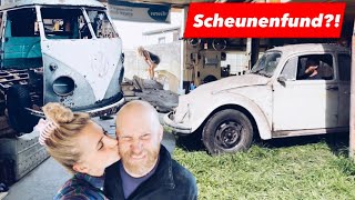 Scheunenfund-Käfer & Waldbus-Puzzeln | Vlog |Waldbus | VW Käferfund