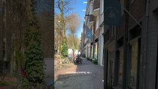 Florist in De Pijp, #amsterdam #minivlog #amsterdamlife #florist