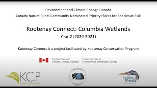 Year 2 Kootenay Connect: Columbia Wetlands