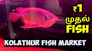 ₹1 முதல் Fish |Kolathur Fish Market