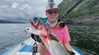 KING MACKEREL explodes on RED TANK RAID 120S in TRINIDAD!!