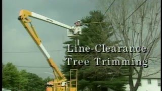 Tree Trimming [PREVIEW]