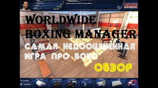 Worldwide Boxing Manager: самая крутая игра про бокс на ПК - ОБЗОР