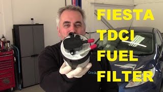 Ford Fiesta 1.6 TDCI Diesel Fuel Filter (2008 on)