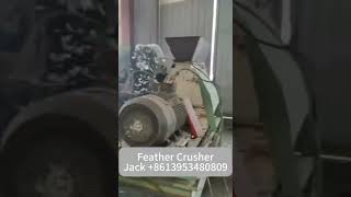 Feather Crusher,Chicken feather crush solution #machine