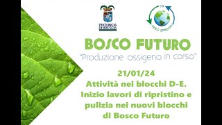 Bosco Futuro: Attività di Gennaio 2024