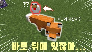 여우 놀리깈ㅋㅋㅋㅋㅋ (마인크래프트)