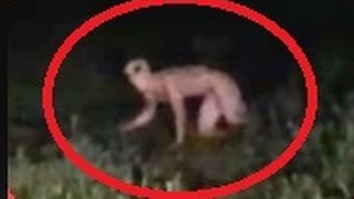 TOP FIVE REAL ALIENS CAUGHT ON TAPE 2017