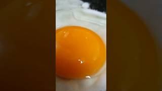 Egg #amazingfood #asmr #food #friedegg