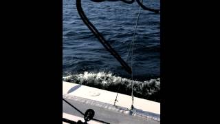 Corsair Sprint 750 Trimaran Sailboat